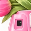 🌸