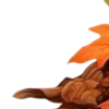 🍂