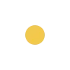 🟡
