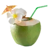🌴