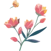 🌺