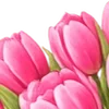 🌸