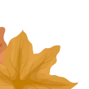 🍁