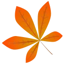 🍁