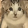 😐