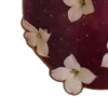 🍎
