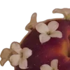 🍎