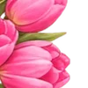 🌸