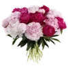 💐