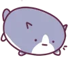 🐱