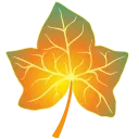 🍁