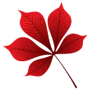 🍁