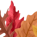 🍁