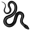 🐍