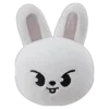 🐰