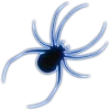🕷