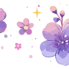 🌺