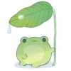 🌧️