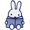 📖