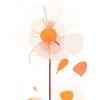 🌺