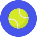 🎾