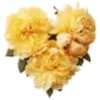 💛