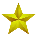 🌟