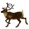 🦌
