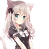 😽