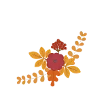🍁