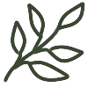 🌿