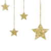 🌟