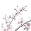 🌸