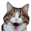 😮