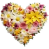 💛