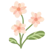 🌸