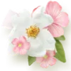 💐