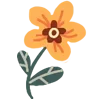 🌼