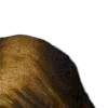 🖼️