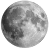🌕