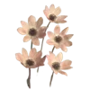 🌸