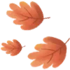 🍂