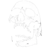 📼