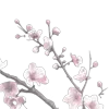 🌸