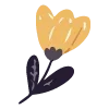 🌺