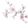 🌸