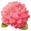 🌺