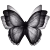 🦋