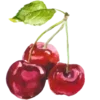 🍒