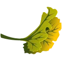 🍁